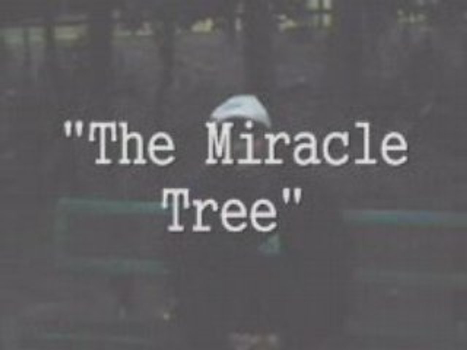 Systems Make YOU $$$$