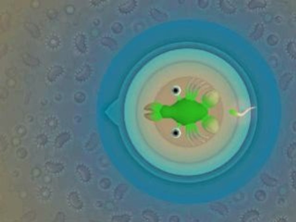 Spore phase cellule part 4