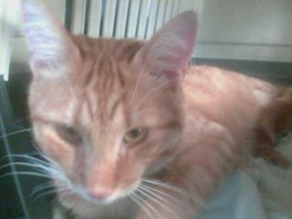 Hubert_0002