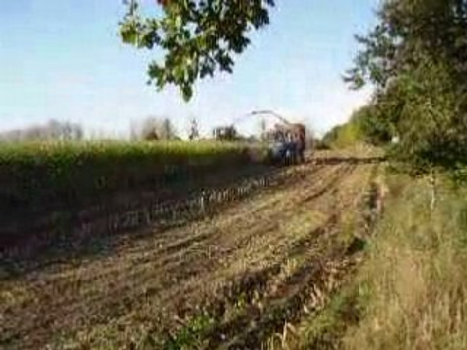 Ensilage 017