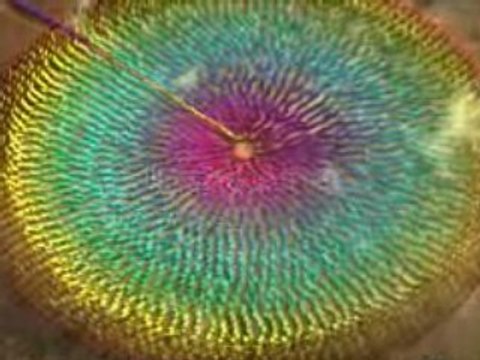 pub Sony Bravia Domino City 2008