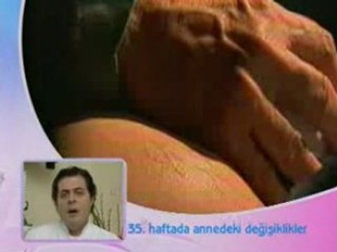 Hafta hafta gebelik (hamilelik) 4. Bölüm-Dr.Kağan Kocatepe