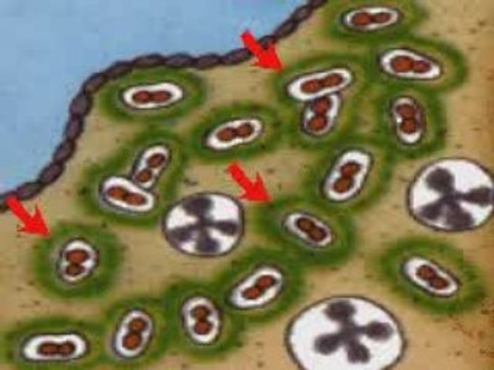 HOW BACTERIA CAUSE DISEASE