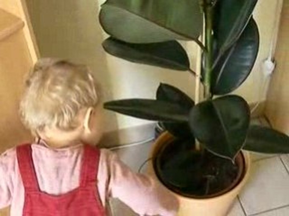 081018 - thibault joue avec sa balle de basket