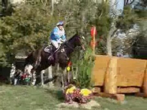 Mondial au Lion d' Angers - octobre 2008