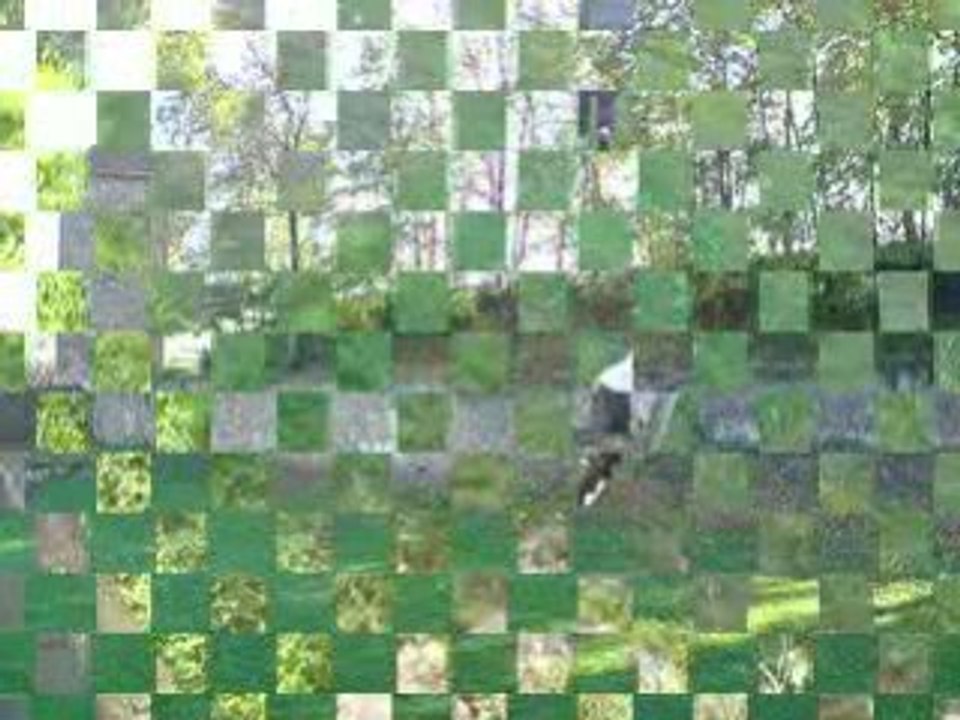 parkour67