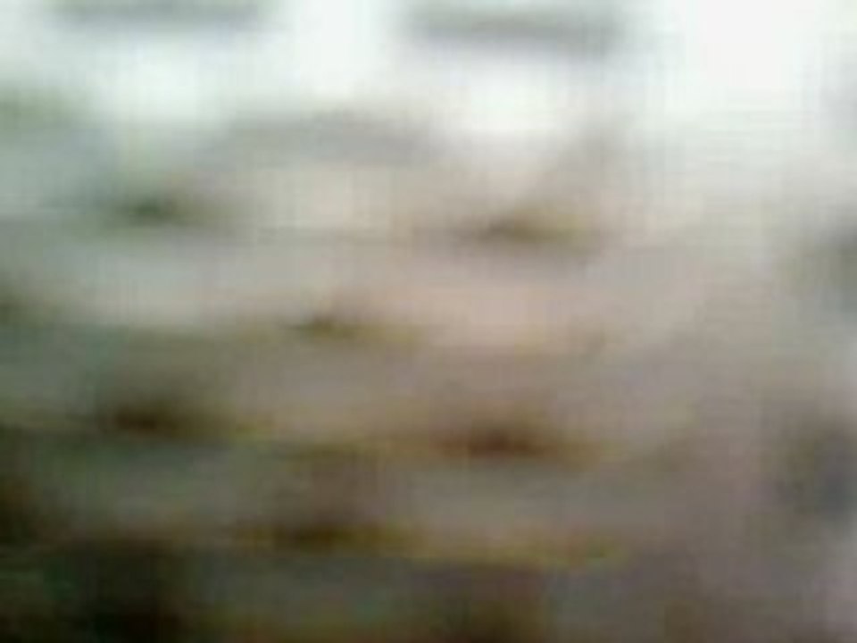 SV_A0132