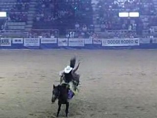 Rodéo à cheval
