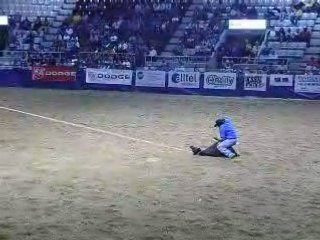 Attraper un veau et lui accrocher les pattes