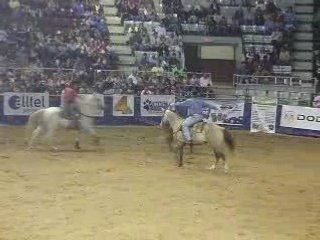 Attraper un veau au lasso