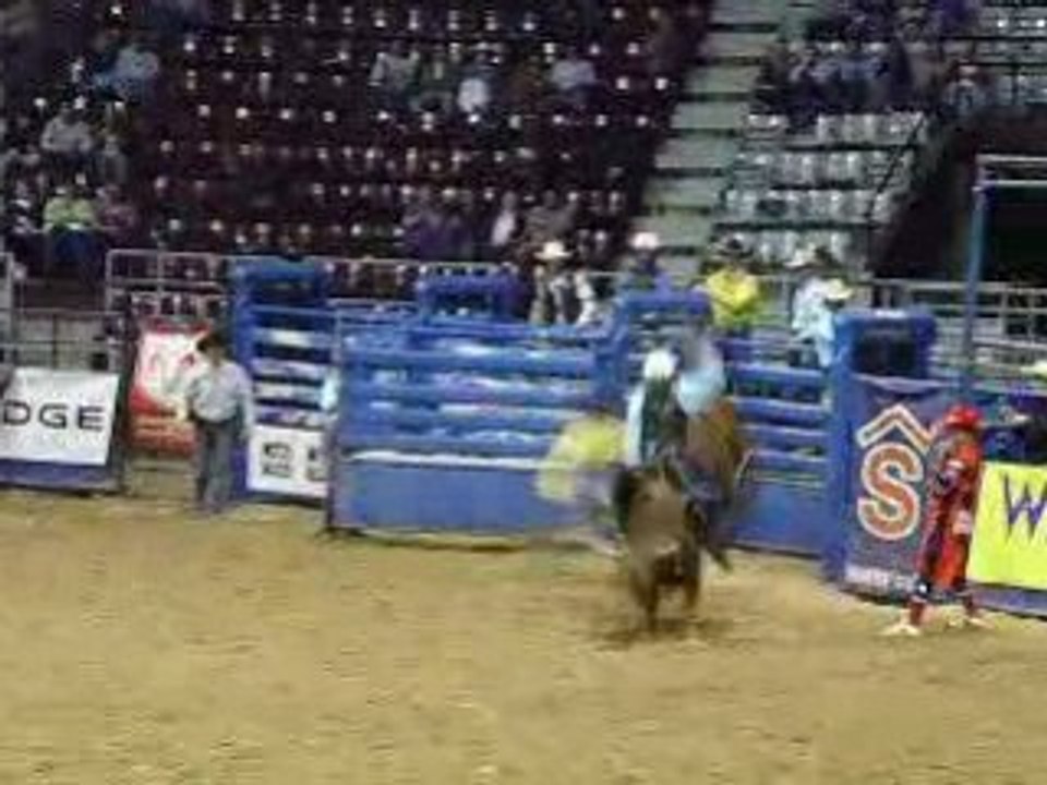 Rodéo sur un taureau