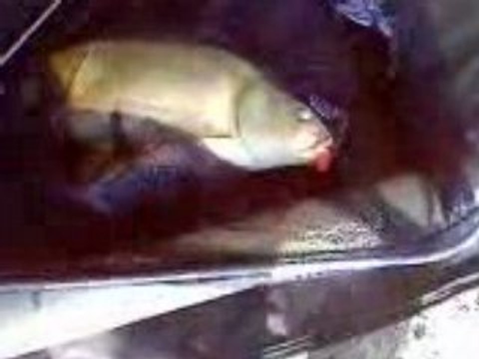 Video27