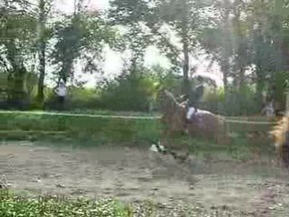 CsO argoat-equiit 2008 154