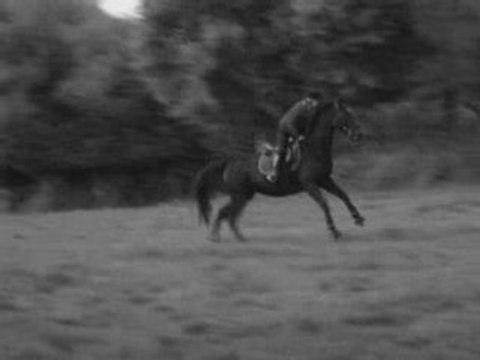 Une balade inoubliable... (gué, galop, changements de pieds)