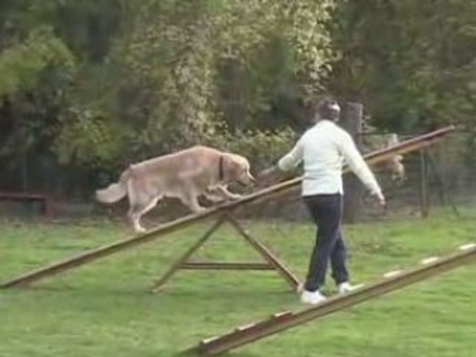 Ceven agility