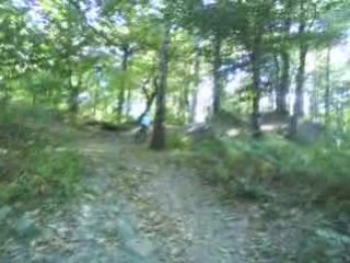 crash au mont griffon