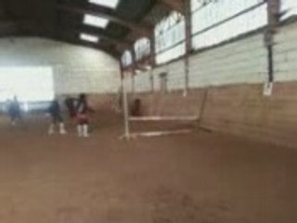 Pimprenelle1