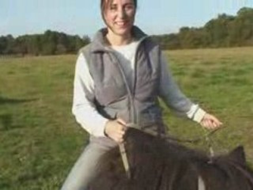 Galop jade et marine