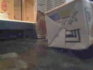 les chroniques des cons n°5