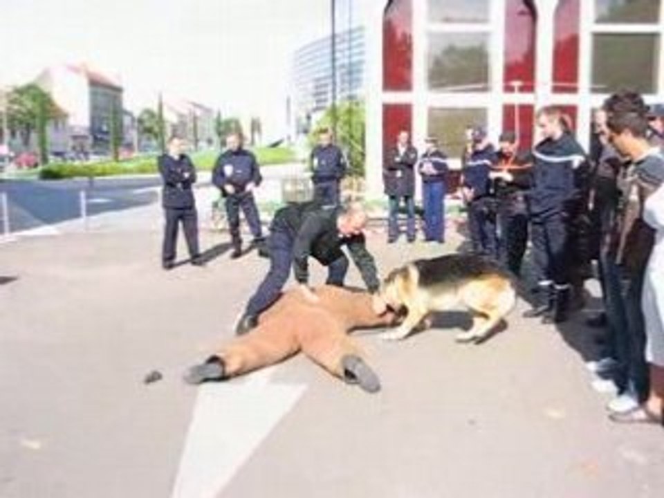 JOURNEE DE LA SECURITE INTERIEURE - INDIVIDU AVEC ARME A FEU