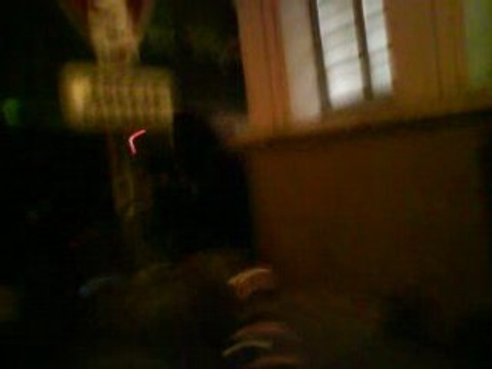 Sorti concert Jenifer Lyon Bourse du Travail 18 octobre 2008