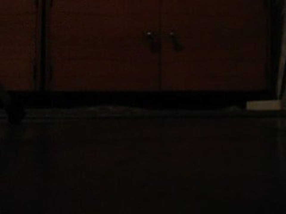 Theodhoraq  Napoloni-J. STRAUSS I-Radetzky March(drum)