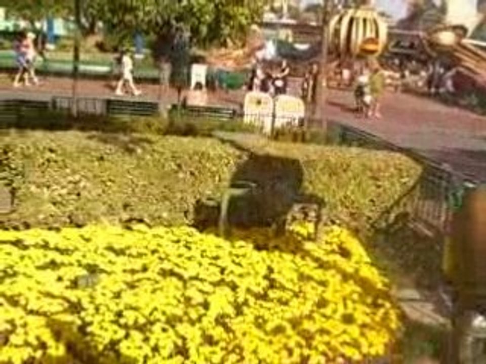 NetWork Marketing – Does it really Work?