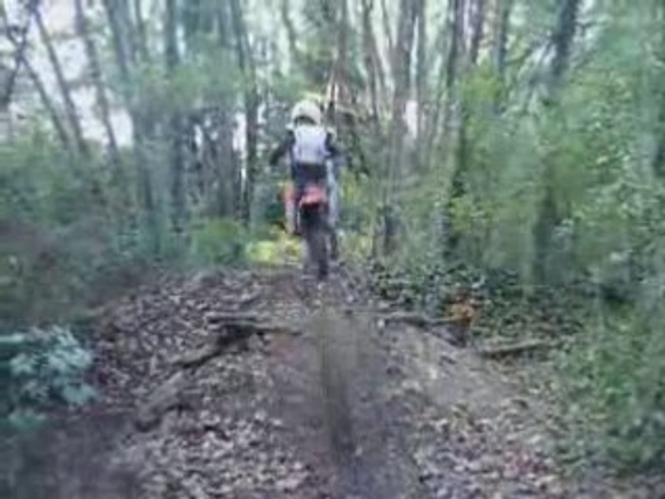 sortie en 65 ktm 85 ktm et 125 ktm dans un terrain n forêt