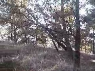 Chasse ballack chistera 002