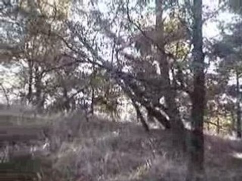 Chasse ballack chistera 002