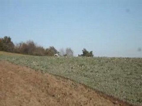 Chasse ballack chistera 019