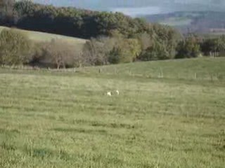 Chasse ballack chistera 020