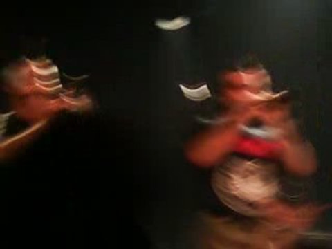 les ramoneurs de menhirs (concert a limoges 18/10/08