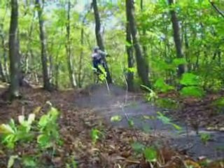 dirt vtt