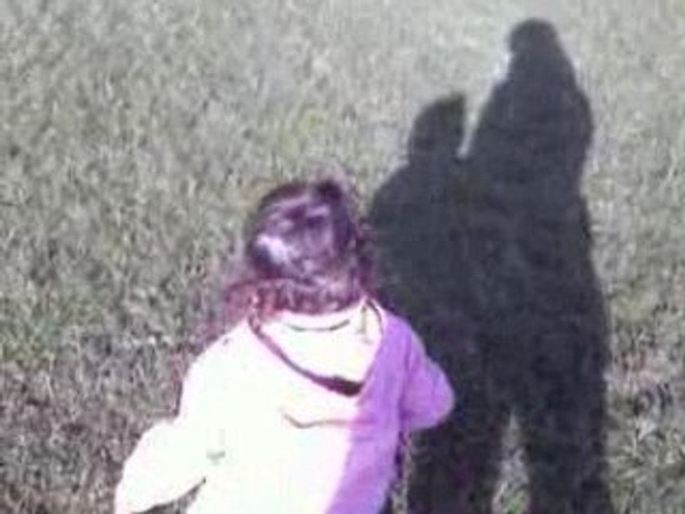 Au parc de la courneuve