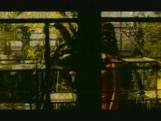 CICLO CINE TERROR MATAMOROS MEXICO VIDEO PROYECCION 2008 JAP