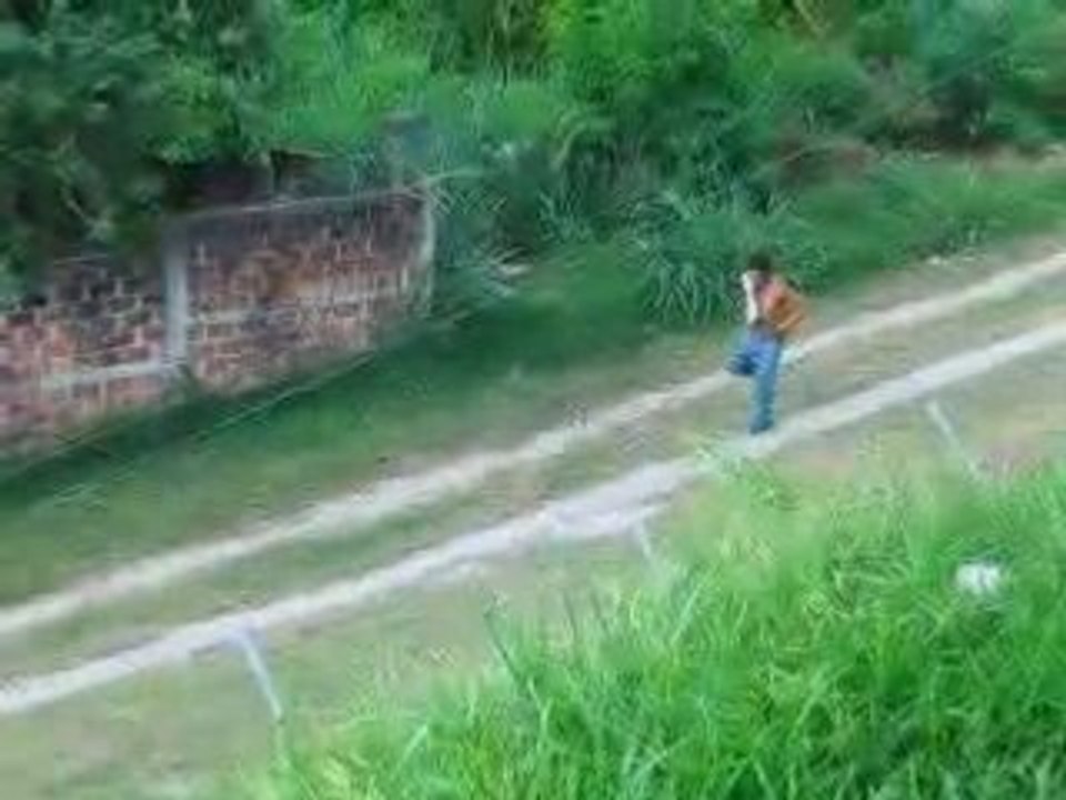 Profesor de baile