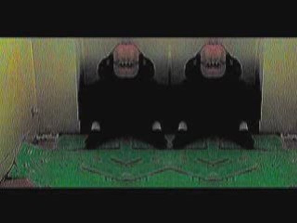 The Green Moquette Room V.D