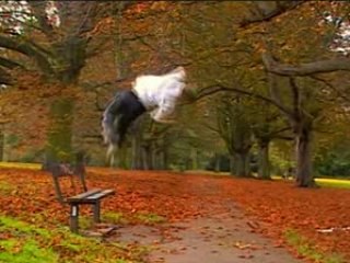 Alex Sharples Nexus Sampler