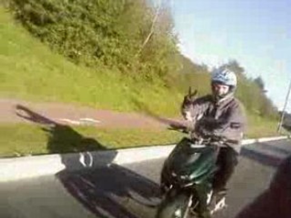 Clems scoot