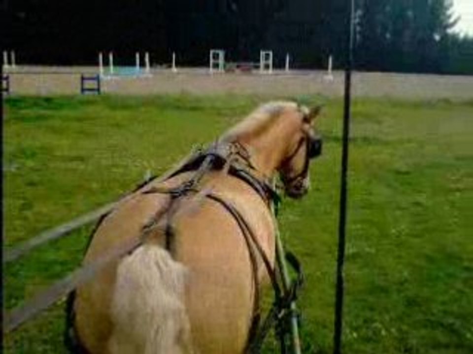 Duduuuus <3