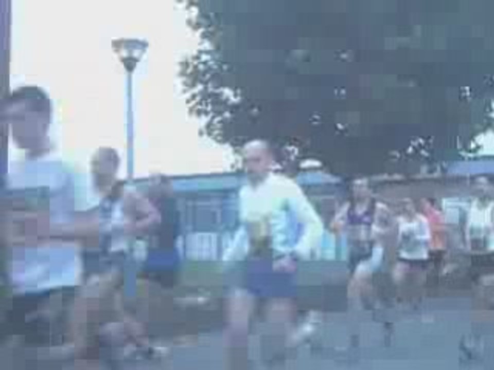 Emmerin 2008