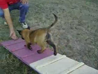Dièse sur la passerelle des plaines du minervois