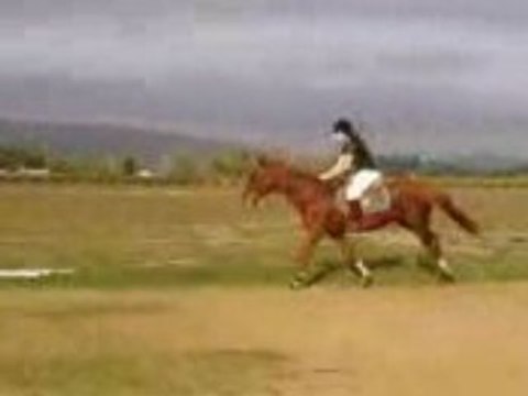 manon qui saute avec Prince ! incroyable ! =)