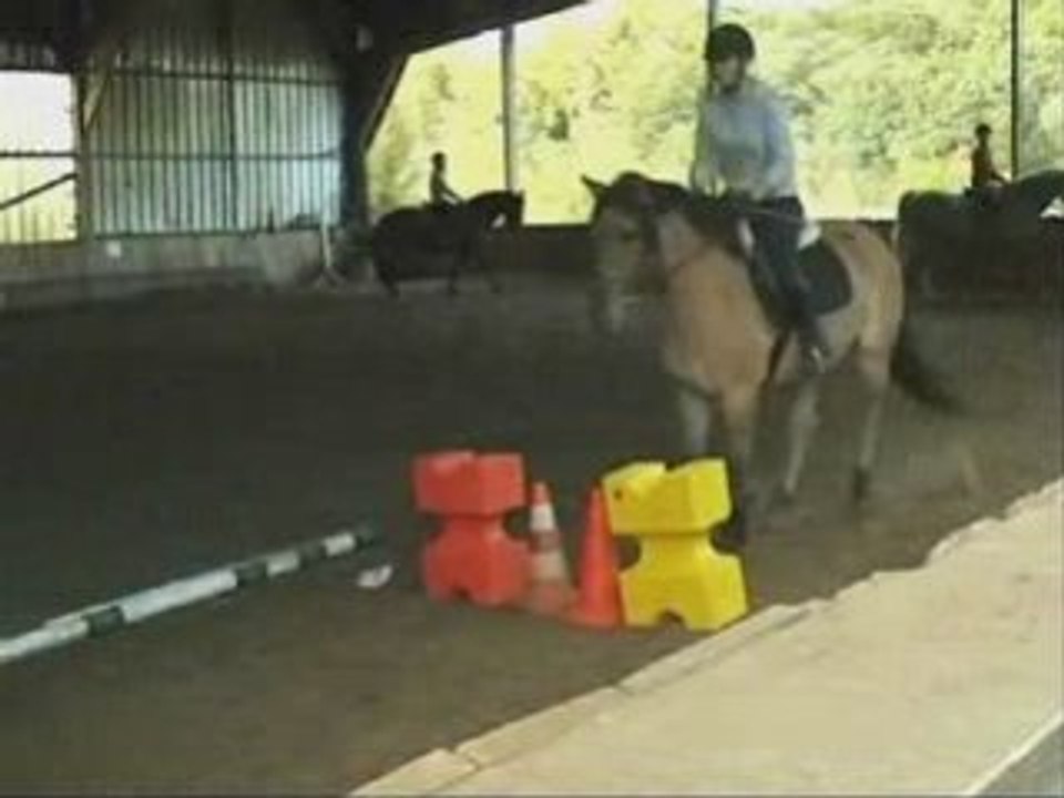 Cours de "saut"  Vendredi 3 Octobre