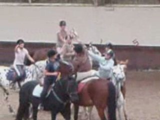 horse-ball au cez