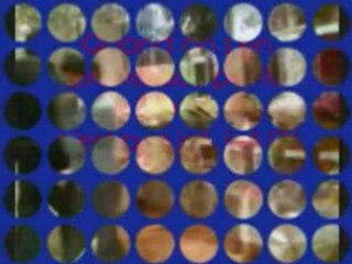 Compo loris axel_0001