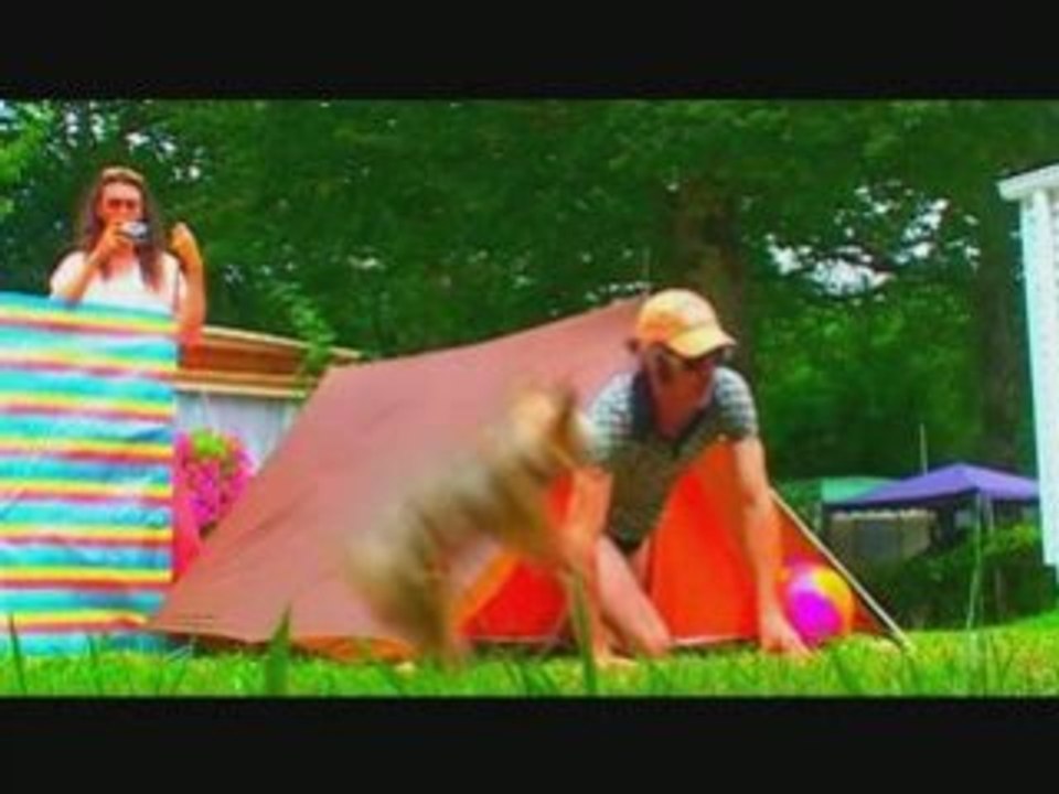 sorry et toutes ses excuses camping les chiennes