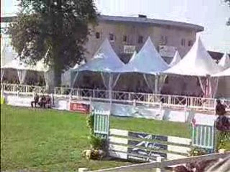 Mondial du Lion d'Angers 2008