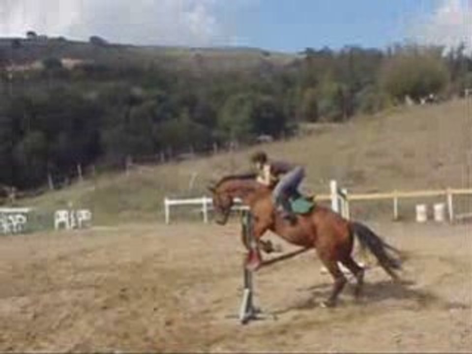 Saut d'obstacle avec Gaby...